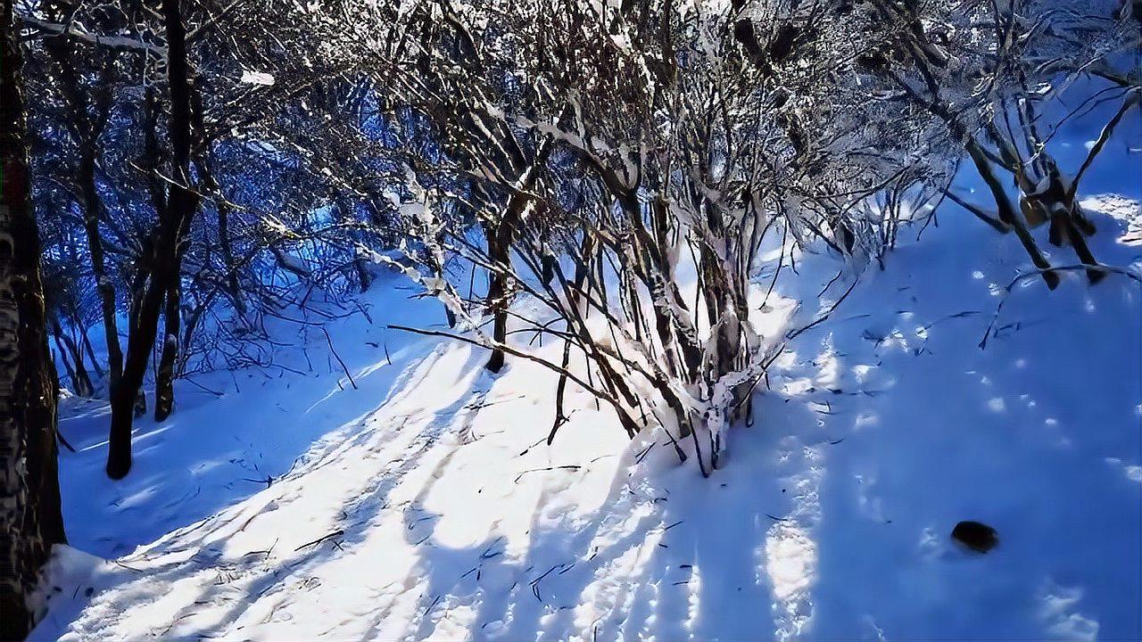 银装素裹,美丽冻人