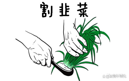 A股韭菜图片