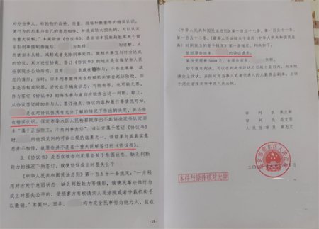 河北一男子因妹妹遭家暴，为保护妹妹打死妹夫，法院判决伸张正义(图5)