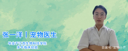 狗狗能喝纯牛奶吗