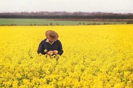 我国|损失50亿后向中国求助，中国果断拒绝！