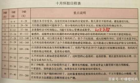 怎么可以错过（整蛊怀孕流产）整蛊怀孕流产视频 第2张