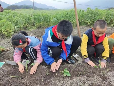 以新时代的劳动教育促进青少年儿童健康成长