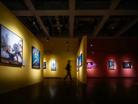 國家地理經典影像大展首次來沈 地點就在k11