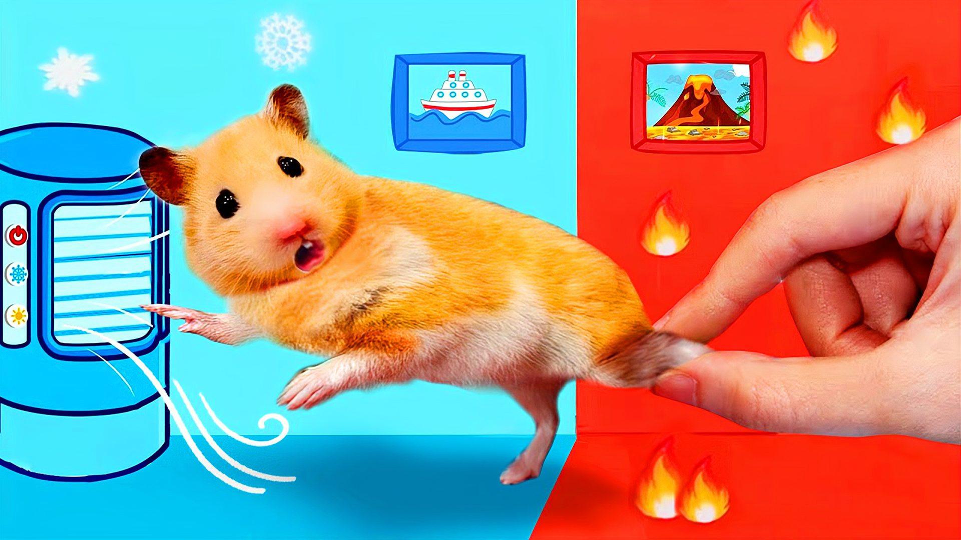 小仓鼠大冒险:打造冰与火的房间,仓鼠逃离冷热困境,能成功吗?