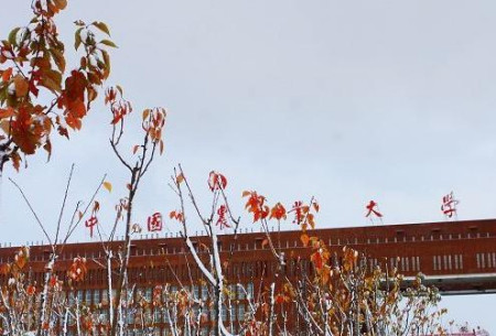 中国食堂排名第一的大学（中国食堂好吃的大学）