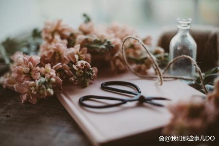人到晚年，不必合群，这三种感情断了最好