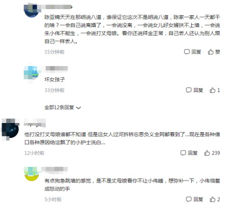 陈亚男亮出最后王牌，关系到朱小伟的终身大事，网友：谎话连篇(图4)