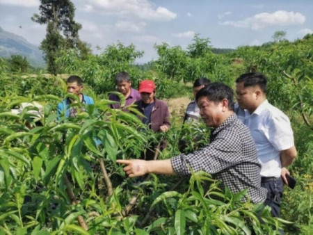 把“匠心”写在这片挚爱的大地上