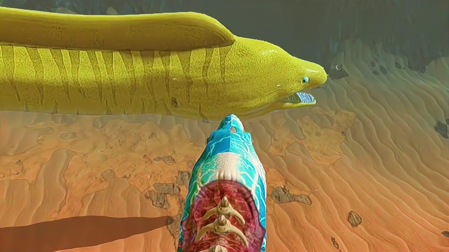 骷髅鱼vs大战黄金电鳗,谁才是海洋霸主