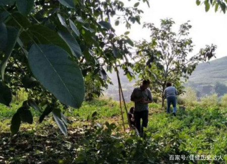 三峡“钉子户”张秉爱:全村搬迁只有她不搬,18年后结局令人唏嘘(图9) 三峡“钉子户”张秉爱:全村搬迁只有她不搬,18年后结局令人唏嘘(图9)