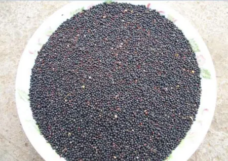 我国|损失50亿后向中国求助，中国果断拒绝！