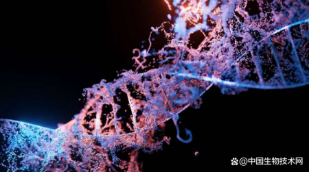《科学》：化繁为简！可爱龙实验室解析“史上最小Cas9”