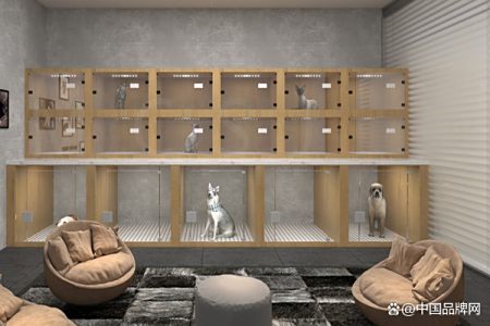 寵物店：熱情專業員工和個性化服務引領顧客口碑