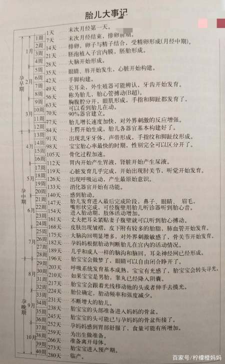 怎么可以错过（整蛊怀孕流产）整蛊怀孕流产视频 第4张