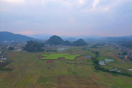 浦北县乐民镇:产业铺路 跑出乡村振兴加速度