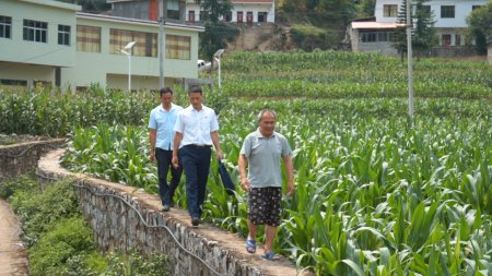 在长流乡长流村,中烟公司新选派的第一书记刘旋是土生土长的长流本地