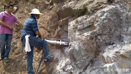 发现|中国新疆发现了什么？引多国专家迅速来华，美专家直言：要小心了