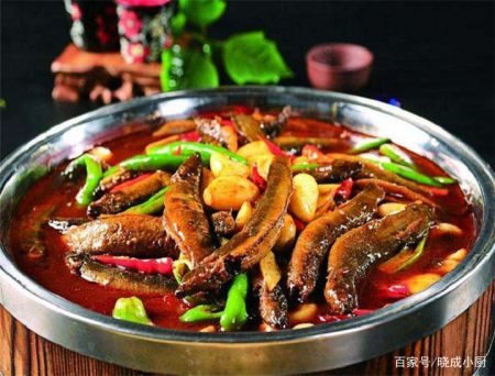 香辣红烧泥鳅这么做,鲜美无腥味,营养又解馋,太好吃了