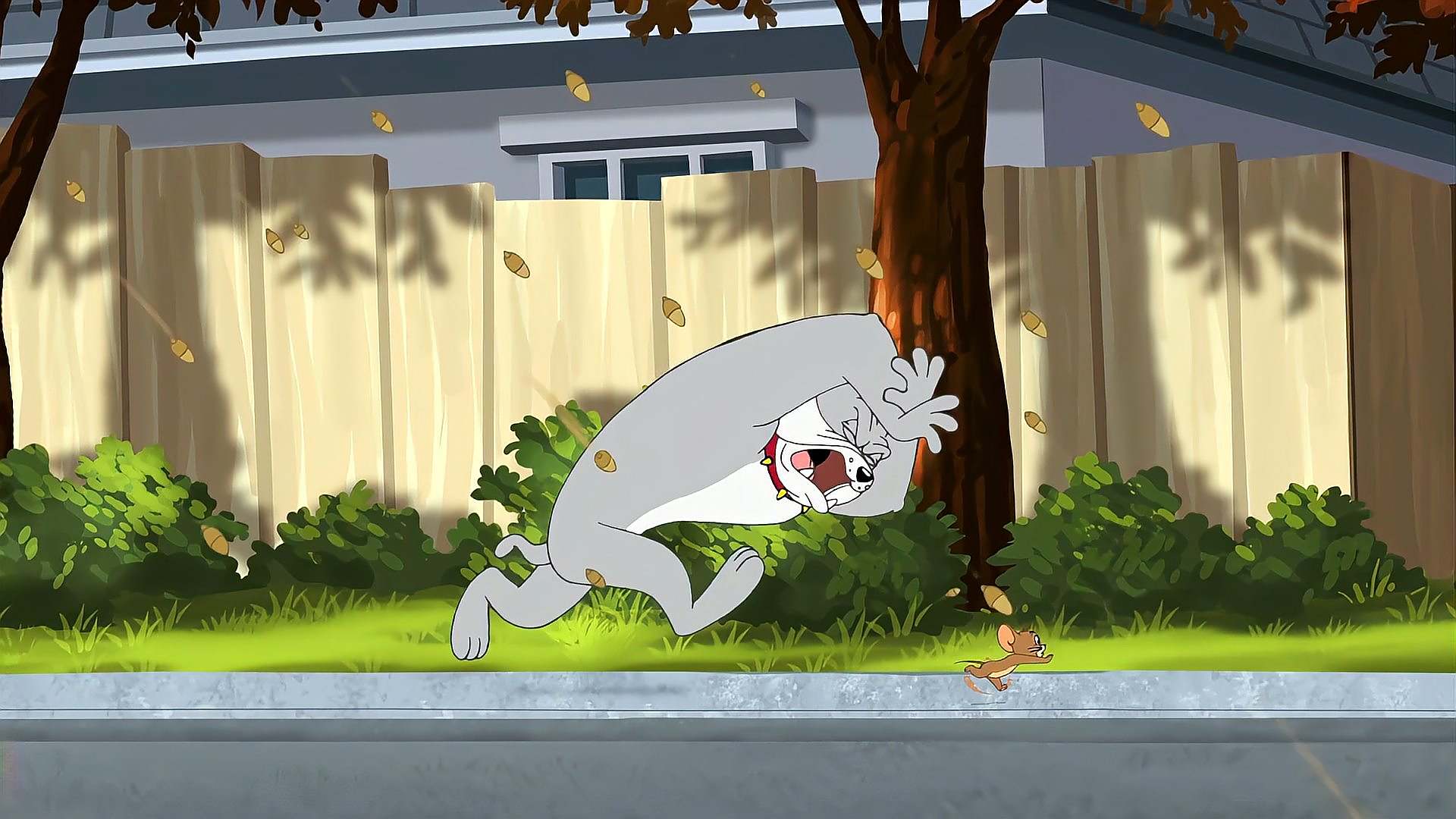 猫和老鼠传奇1:汤姆利用飞天衣服,欺负狗和杰瑞,挺过分