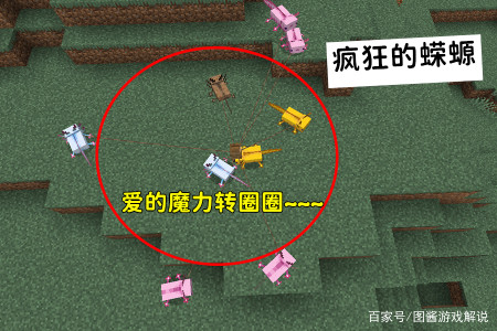 我的世界:你很了解MC?请问,山羊和村民从24格掉落,谁能活?-游戏攻略礼包下载 安卓苹果手游排行榜 好游戏尽在春天手游网 我的世界:你很了解MC?请问,山羊和村民从24格掉落,谁能活?-游戏攻略礼包下载 安卓苹果手游排行榜 好游戏尽在春天手游网