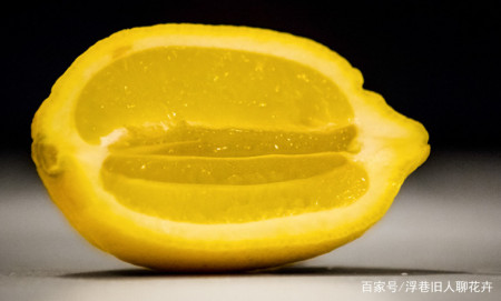 喜欢果树盆栽 试试香水柠檬 果实大无核 一年四季都能开花结果 喜欢果树盆栽 试试香水柠檬 果实大无核 一年四季都能开花结果