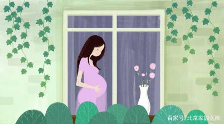 试管过程：前、中、后阶段的助孕攻略，超实用！