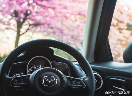 又一“代步王”,搭载1.5L混动系统,116马力油耗6L,颜值还很高(图3) 又一“代步王”,搭载1.5L混动系统,116马力油耗6L,颜值还很高(图3)