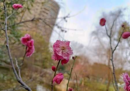 硬核推荐（今年立春的日子）立春好时节，(图2)