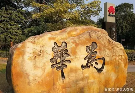 华为|宁赔10个亿，也要裁掉7000人？任正非：不能让员工“太好过”！