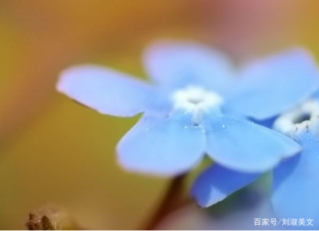 5天后 缘分奇妙 想念成真 牵手挚爱 再不离分 白首不相离 5天后 缘分奇妙 想念成真 牵手挚爱 再不离分 白首不相离