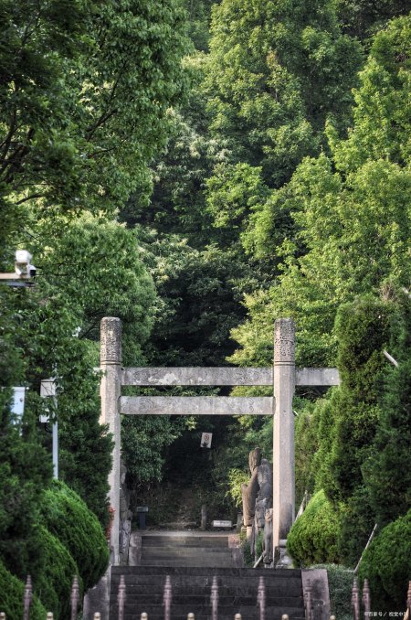 三彩马写实程度比秦、汉和唐初马形象雕塑作品高,分布西安和洛阳 实用小技巧 第3张 三彩马写实程度比秦、汉和唐初马形象雕塑作品高,分布西安和洛阳 实用小技巧 第3张
