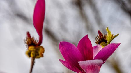 緣來緣去終會散,花開花敗總歸塵;生命中的情緣,遇見你真好