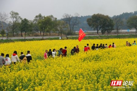 怎么隐藏历史工商信息（怎么隐藏历史记录） 第2张