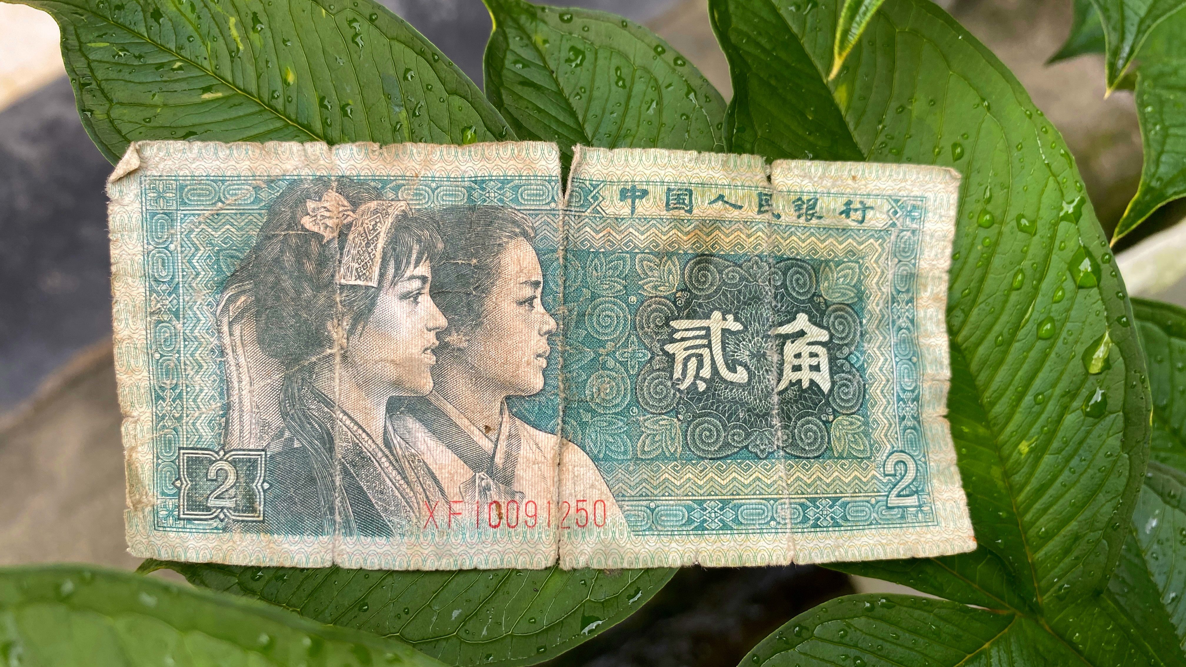 两角钱纸币图图片