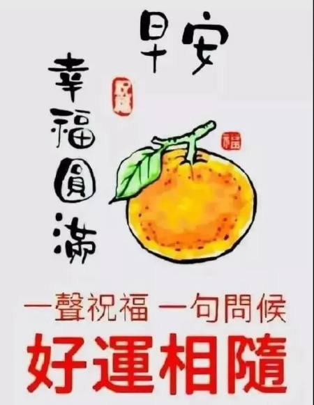 适合早晨群发的早上好祝福短信语录，很漂亮的早安问候表情图片