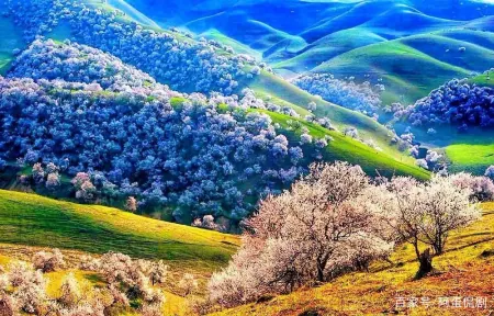 发现|中国新疆发现了什么？引多国专家迅速来华，美专家直言：要小心了