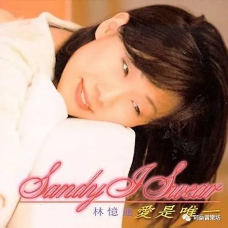 林忆莲 I Swear