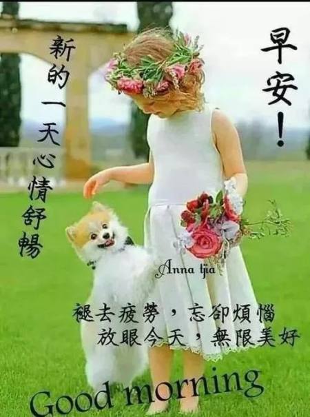 适合早晨群发的早上好祝福短信语录，很漂亮的早安问候表情图片