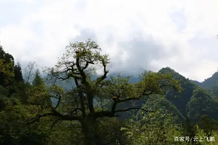 成都有山有水的景点  ChinaTravel 中國觀光景點