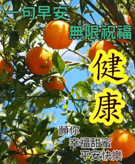 适合早晨群发的早上好祝福短信语录，很漂亮的早安问候表情图片