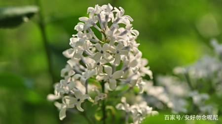 2月23日以后 4大星座双喜临门 爱情甜甜蜜蜜 事业一帆风顺 2月23日以后 4大星座双喜临门 爱情甜甜蜜蜜 事业一帆风顺