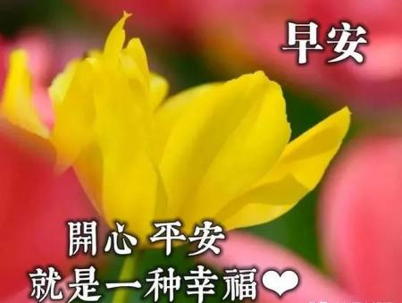 适合早晨群发的早上好祝福短信语录，很漂亮的早安问候表情图片