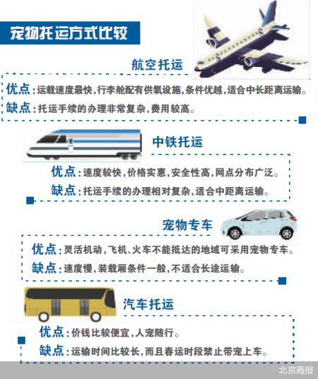 空改陆之外 宠物托运还有哪些“坑”11