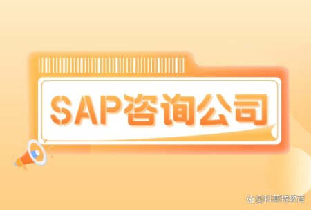 科莱特|全国各地sap咨询公司花名册