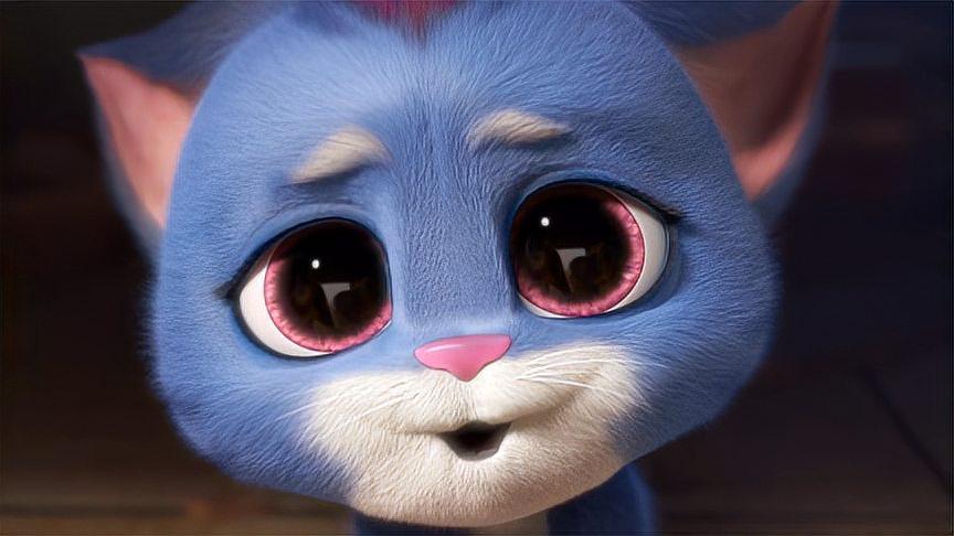 熊出没里出现过的三只猫,你都还记得吗?