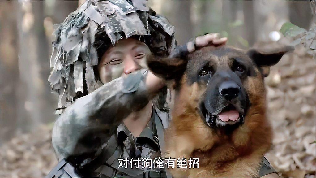 利刃出鞘:李二牛真有兩把刷子,讓軍犬都叛變了