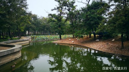 邢臺市動物園,環境優雅野趣橫生,動物王國親子樂園