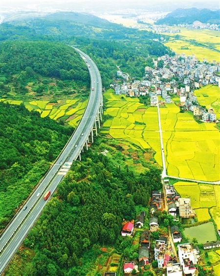 湖南省永州市藍山縣土市鎮三廣村一帶,金黃稻田與高速路,新農村輝映成