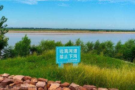 鄭州萬灘鎮黃河大堤,風景比花園口還好,附近盛產黃河大鯉魚